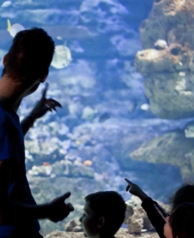 Visitez l'Aquarium de Paris