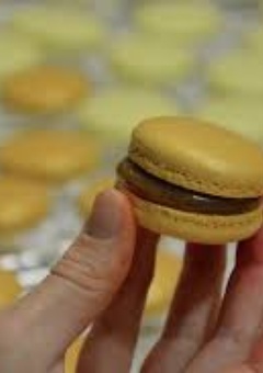 Atelier cuisine : Les Macarons