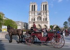 Balade de 2 heures en Calèche 