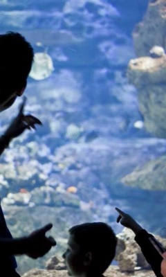 Visitez l'Aquarium de Paris