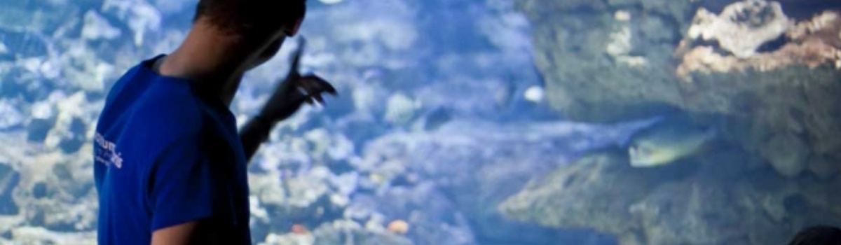Visitez l'Aquarium de Paris