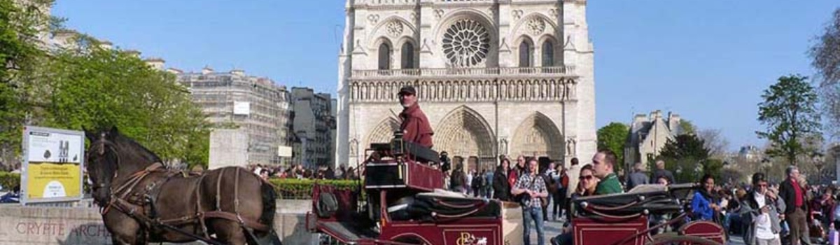 Balade de 2 heures en Calèche 