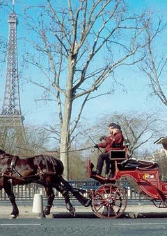 Balade d'une heure en Calèche 