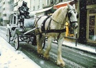 Balade de 2 heures en Calèche 