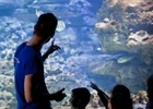 Visitez l'Aquarium de Paris
