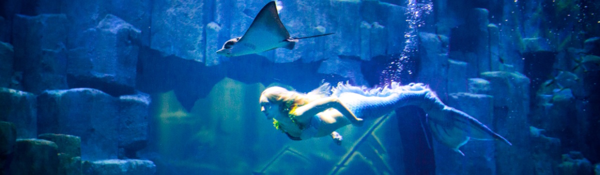 Visitez l'Aquarium de Paris