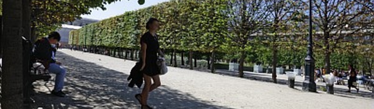 Le Palais Royal 