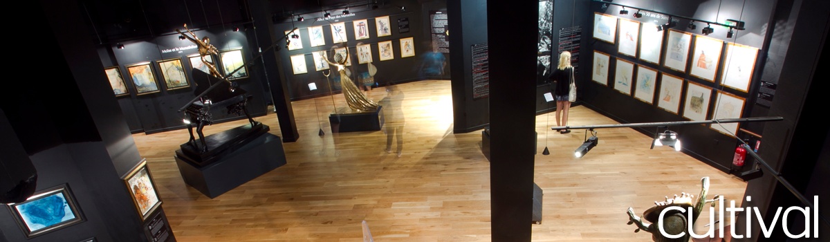 Visite guidée de l’Espace Dalí
