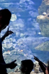 Visitez l'Aquarium de Paris