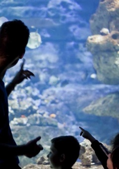 Visitez l'Aquarium de Paris