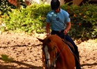 Cavalerie de la Garde Républicaine