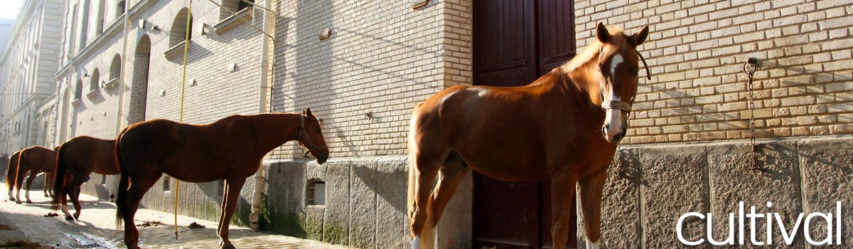 Cavalerie de la Garde Républicaine