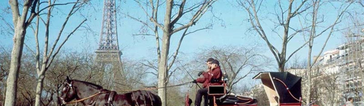 Balade d'une heure en Calèche 