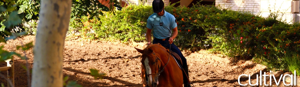 Cavalerie de la Garde Républicaine