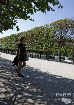 Le Palais Royal 